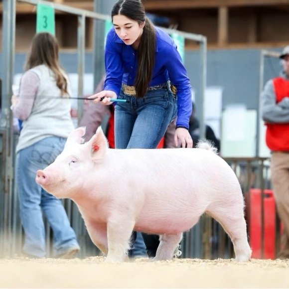 Meet your Posher, Rebecca - Picture 13 of 16